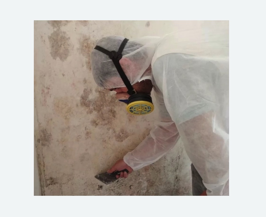 Обработка стен от плесени Обработка стен от плесени в Ижевске