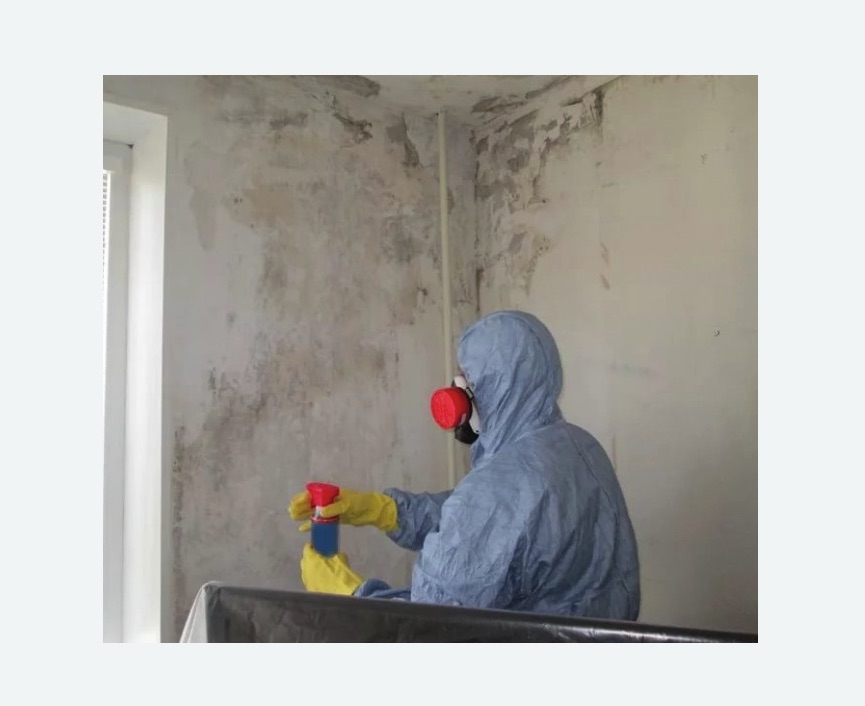 Удаление плесени в квартире Удаление плесени в квартире в Ижевске